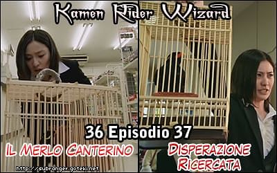 zarro36-37