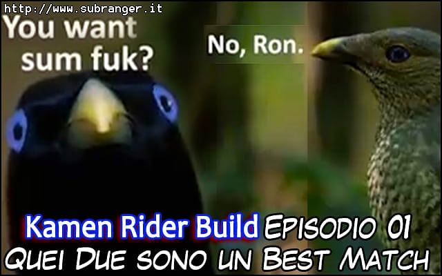 build01